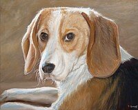 Hand Painted Pet Portraits On Canvas