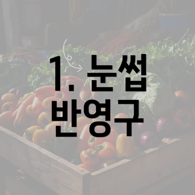 1. 눈썹 반영구