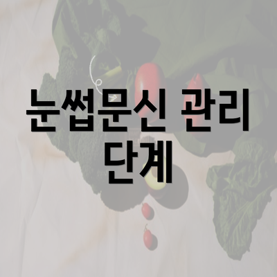 눈썹문신 관리 단계