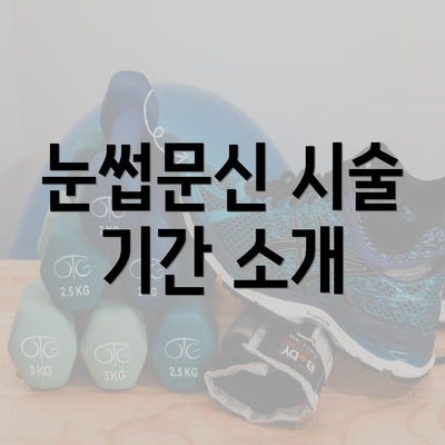 눈썹문신 시술 기간 소개