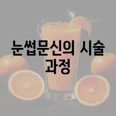 눈썹문신의 시술 과정