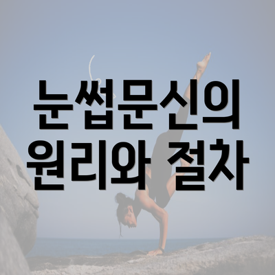 눈썹문신의 원리와 절차