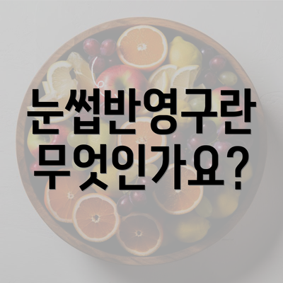 눈썹반영구란 무엇인가요?