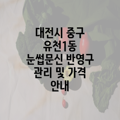 대전시 중구 유천1동 눈썹문신 반영구 관리 및 가격 안내