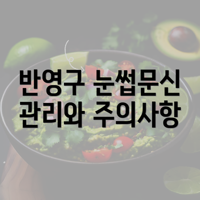 반영구 눈썹문신 관리와 주의사항