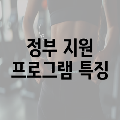 정부 지원 프로그램 특징