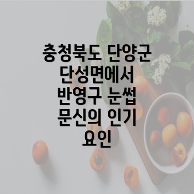 충청북도 단양군 단성면에서 반영구 눈썹 문신 시 주의사항