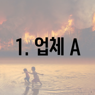 1. 업체 A