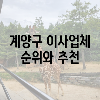 계양구 이사업체 순위와 추천