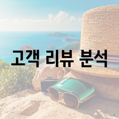 고객 리뷰 분석