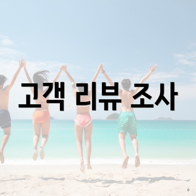 고객 리뷰 조사