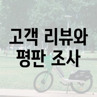 고객 리뷰와 평판 조사