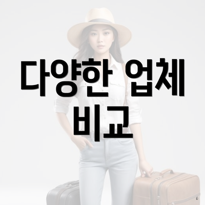 다양한 업체 비교