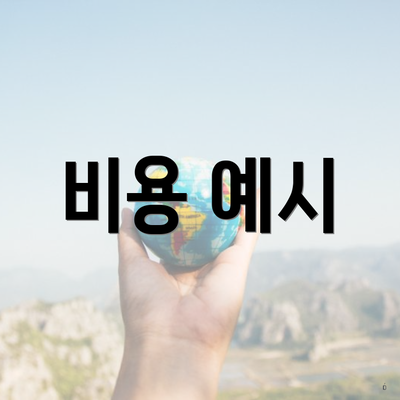비용 예시