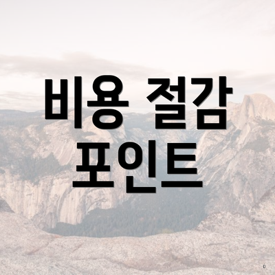 비용 절감 포인트