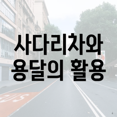 사다리차와 용달의 활용