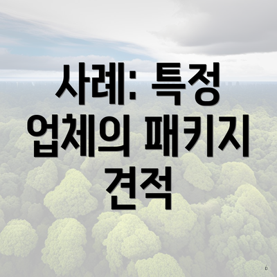 사례: 특정 업체의 패키지 견적