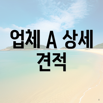 업체 A 상세 견적