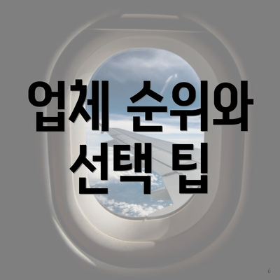 업체 순위와 선택 팁