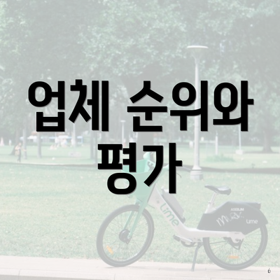 업체 순위와 평가