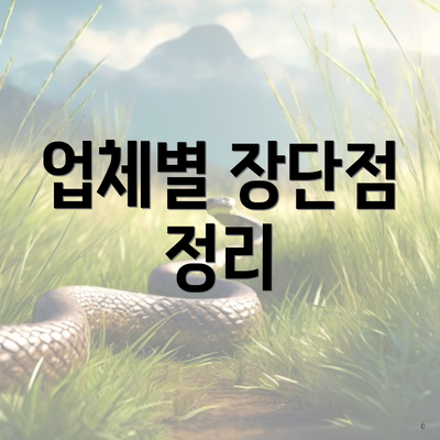 업체별 장단점 정리