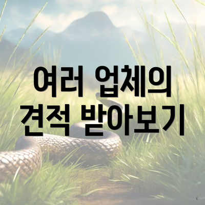 여러 업체의 견적 받아보기
