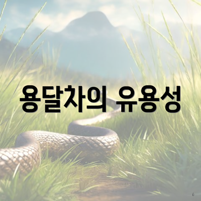 용달차의 유용성