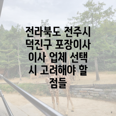 전라북도 전주시 덕진구 포장이사 이사 업체 선택 시 고려해야 할 점들