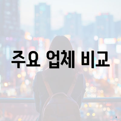 주요 업체 비교