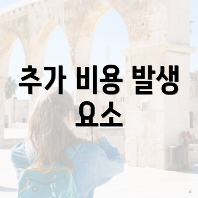 추가 비용 발생 요소