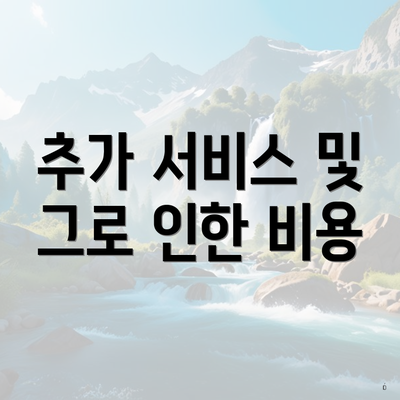 추가 서비스 및 그로 인한 비용