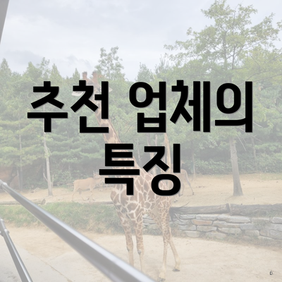 추천 업체의 특징