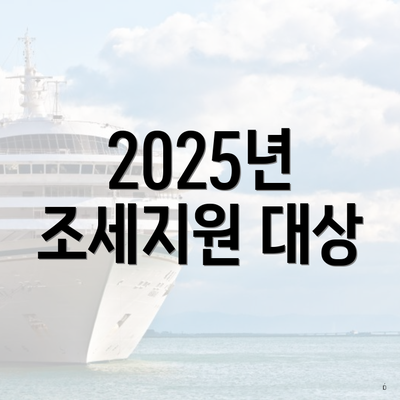 2025년 조세지원 대상