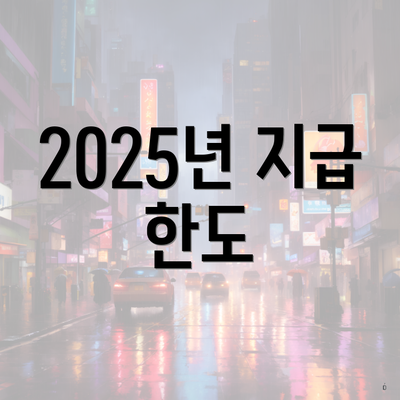 2025년 지급 한도