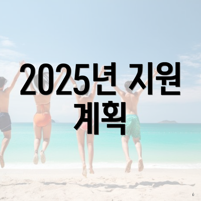 2025년 지원 계획