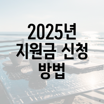 2025년 지원금 신청 방법