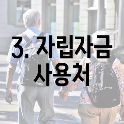 3. 자립자금 사용처