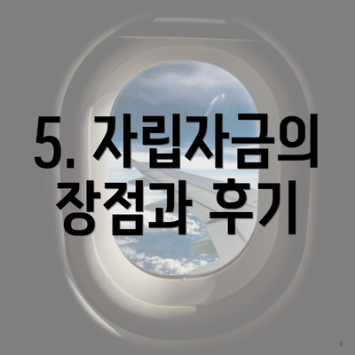 5. 자립자금의 장점과 후기