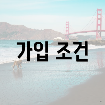 가입 조건