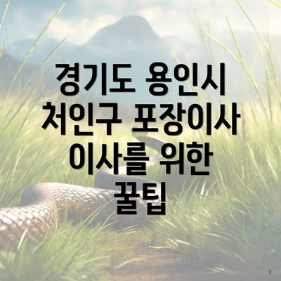 경기도 용인시 처인구 포장이사 이사를 위한 꿀팁