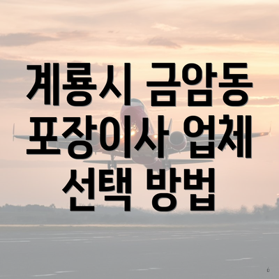 계룡시 금암동 포장이사 업체 선택 방법