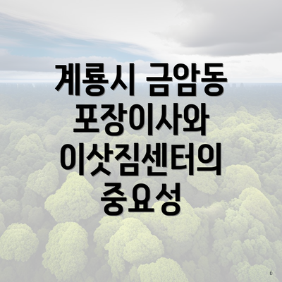 계룡시 금암동 포장이사와 이삿짐센터의 중요성