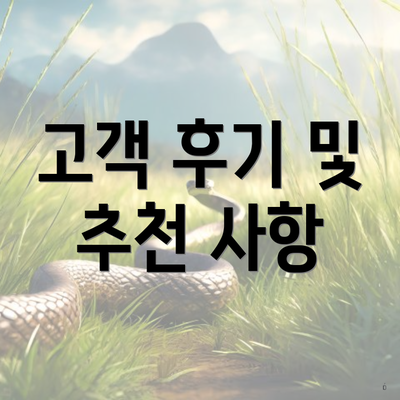 고객 후기 및 추천 사항