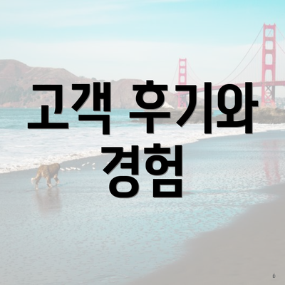 고객 후기와 경험