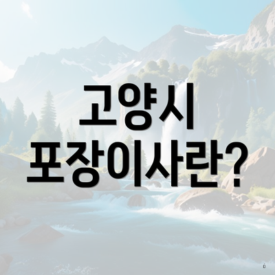고양시 포장이사란?