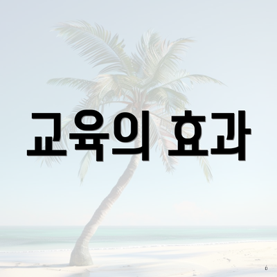 교육의 효과