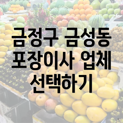 금정구 금성동 포장이사 업체 선택하기