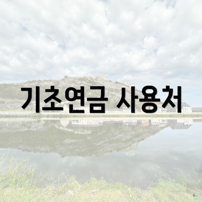 기초연금 사용처