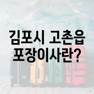 김포시 고촌읍 포장이사란?