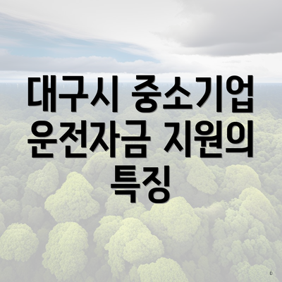대구시 중소기업 운전자금 지원의 특징